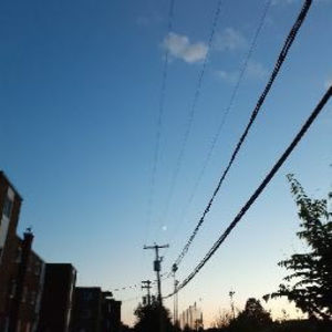 Meet your Posher, Leyla